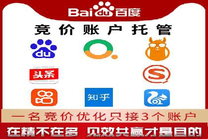 SEM推广代运营：成功案例解析与策略分享